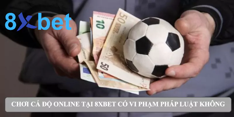 Từ A-Z về luật cá độ bóng đá cho bet thủ tại Việt Nam 3 Chơi cá độ online tại 8xbet có vi phạm pháp luật không