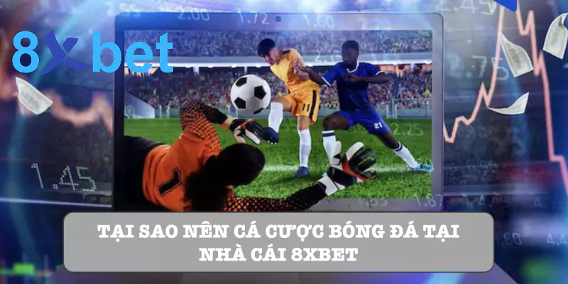 Cược bóng đá 8xbet: Hướng dẫn chi tiết cho người mới bắt đầu 3 Tại sao nên cá cược bóng đá tại nhà cái 8xbet