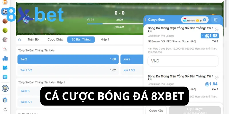 Thể thao 8xbet - Hành trình cá cược thể thao đỉnh cao 3 Cá cược bóng đá là sảnh game thu hút nhiều người chơi thất tại 8xbet